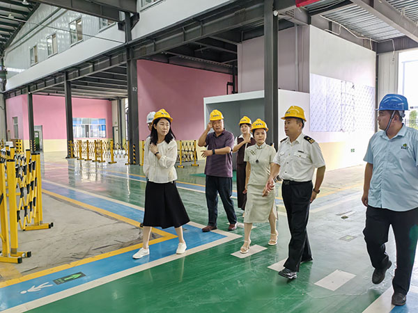 海關和貿促會領導蒞臨山東雪萊工廠參觀考察,泰安電視臺跟蹤采訪